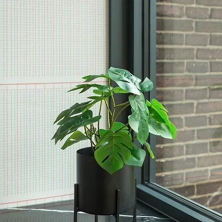 아파트 Freshly Renovated W Kitchen And Bathroom *