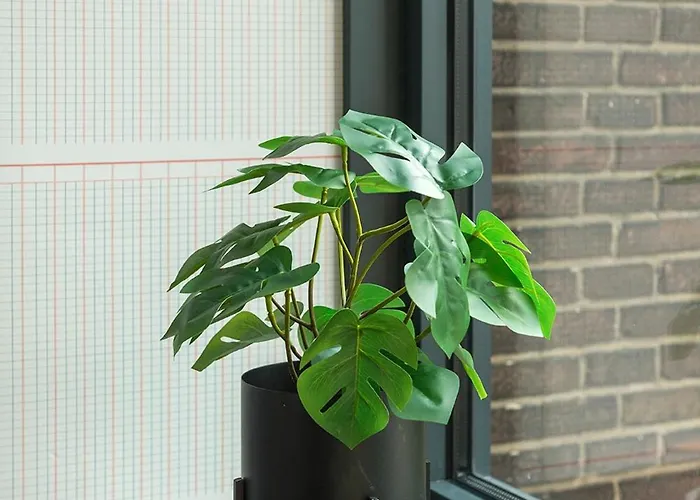 Apartment Freshly Renovated W Kitchen And Bathroom *